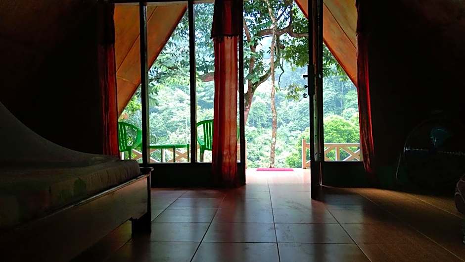 Green Forest Tangkahan