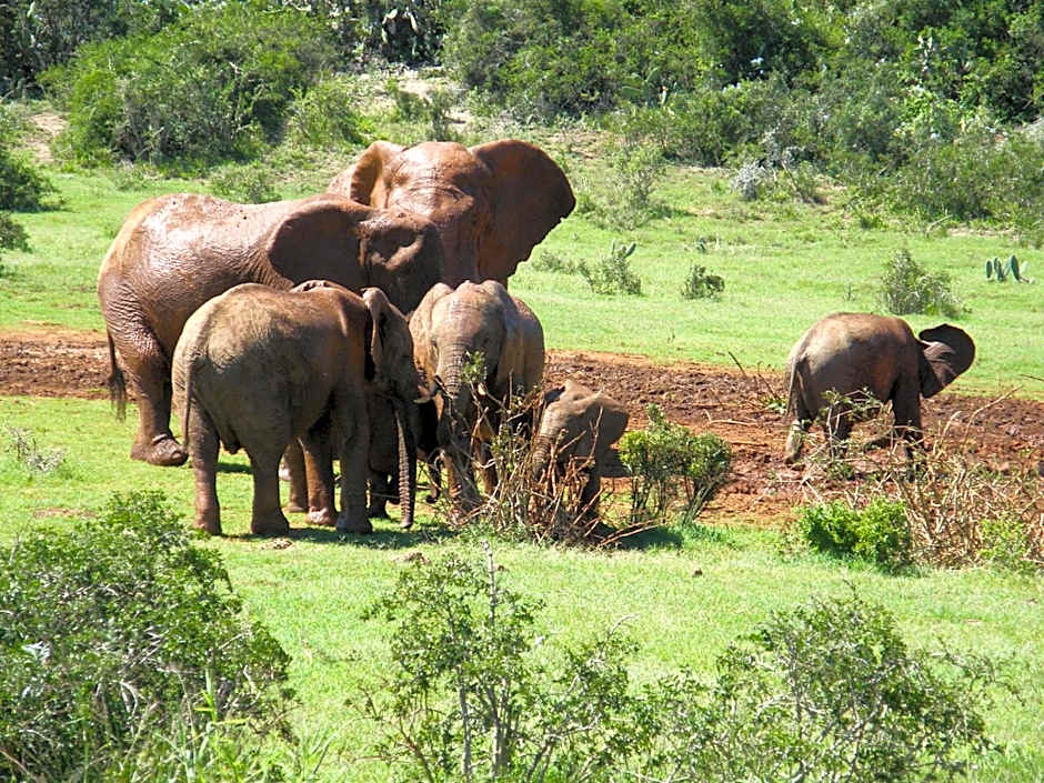 Kudu Ridge Game Lodge