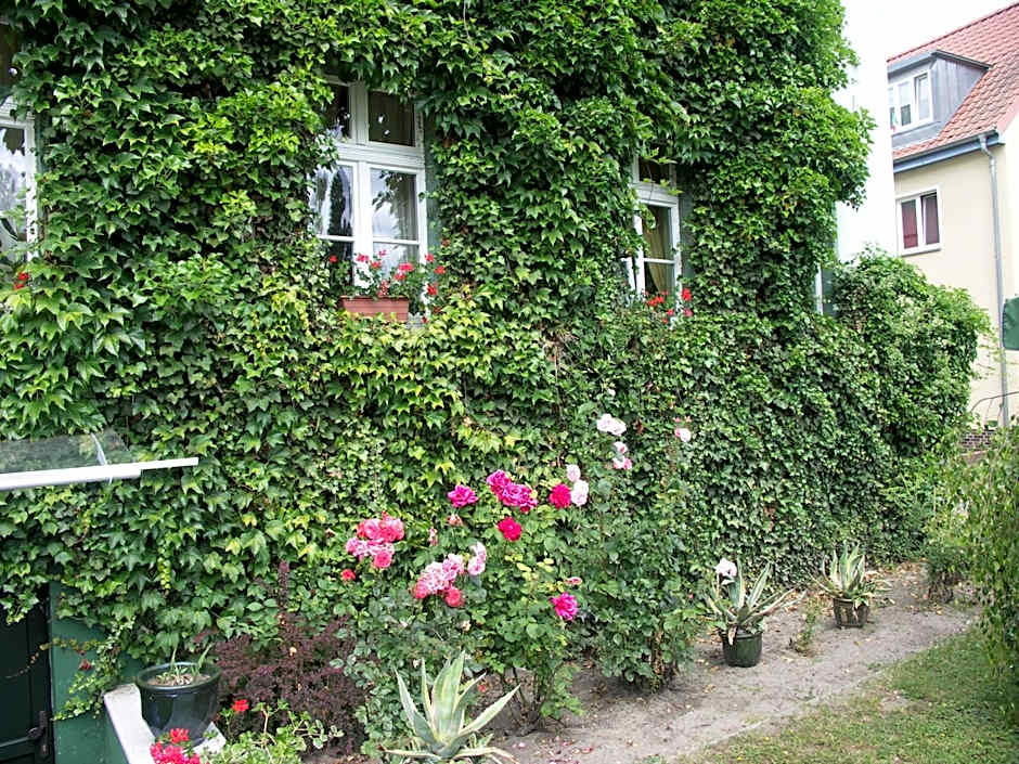 Hotel Zur Alten Oder- Frankfurt-Oder