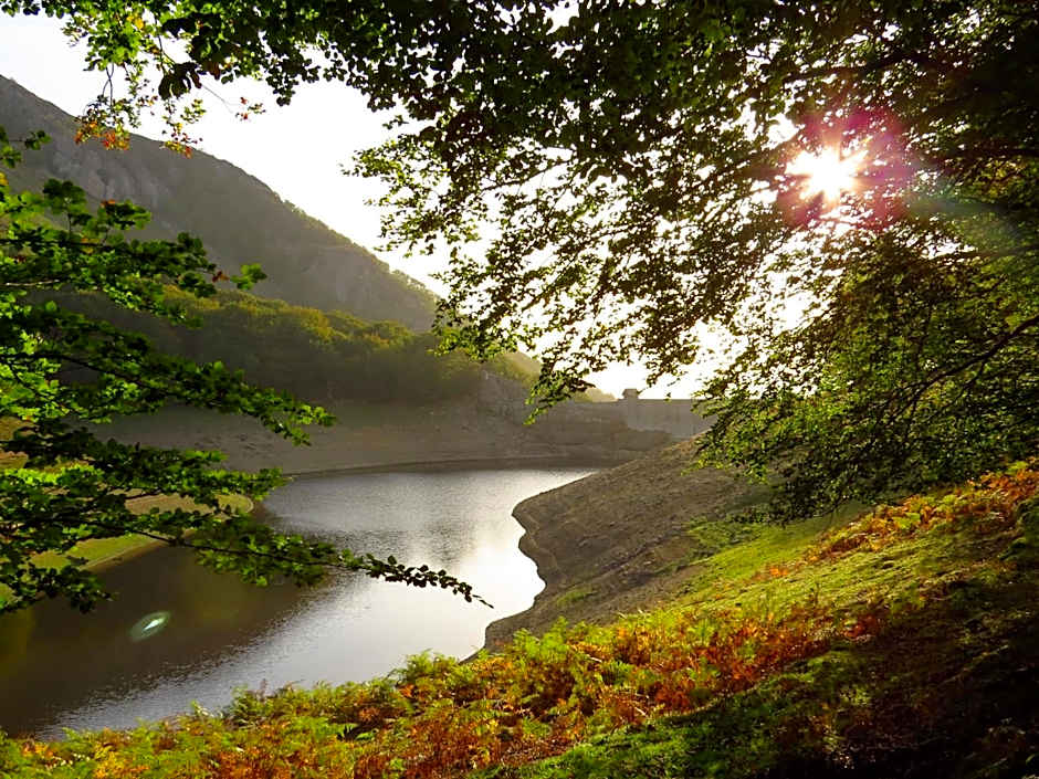 Albergue Olasenea Aterpea