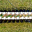 voco Kirkton Park Hunter Valley by IHG
