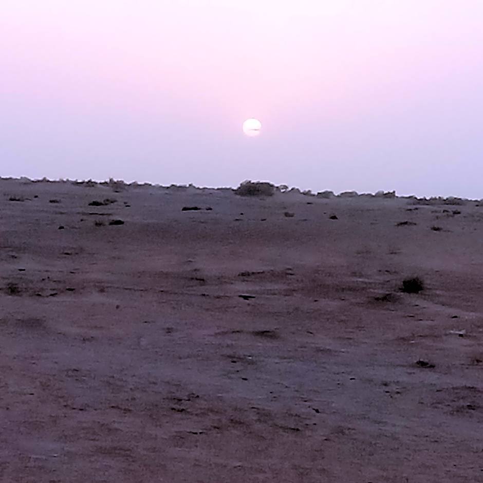 Bivouac beauté du désert
