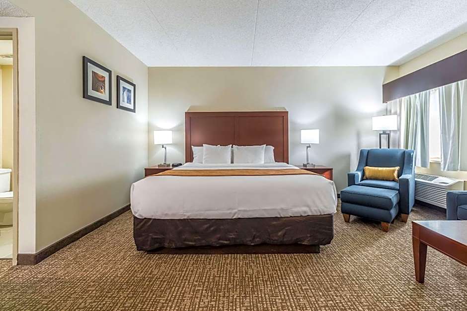 Comfort Inn Festus-St Louis South