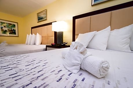 Superior Queen Room