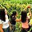 Bulian Homestay