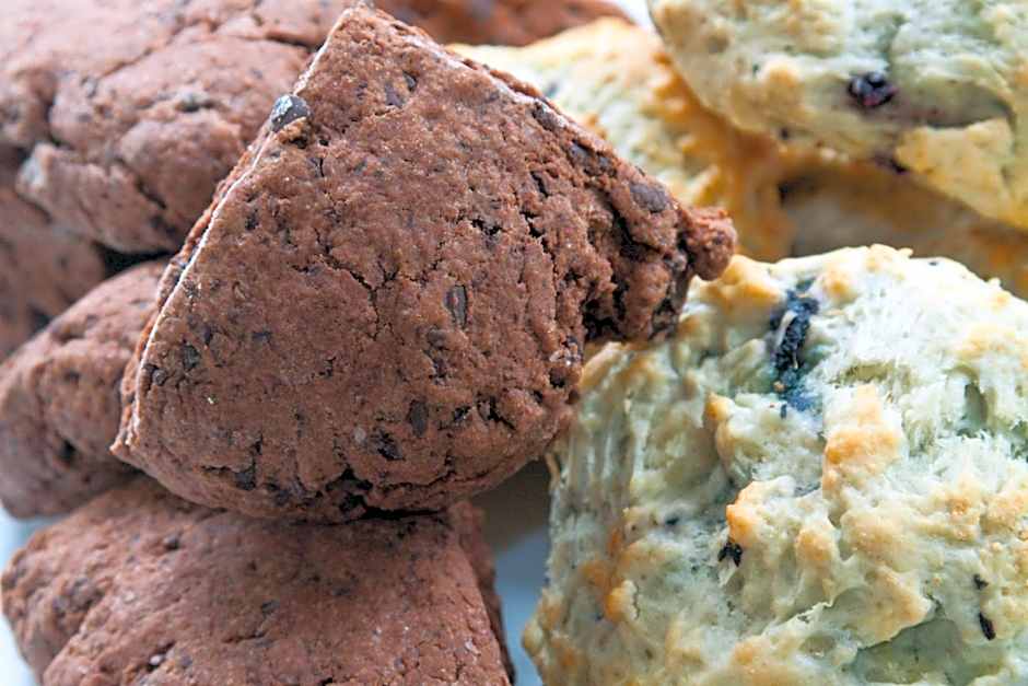 Scranton Seahorse Inn