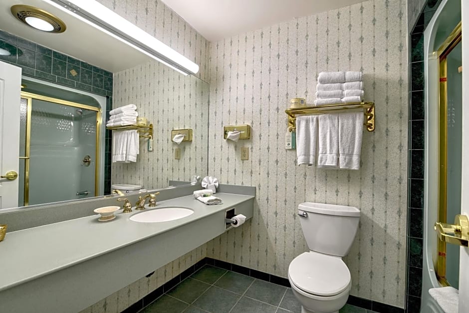 Roosevelt Inn & Suites Saratoga Springs