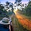 Pench Jungle Camp