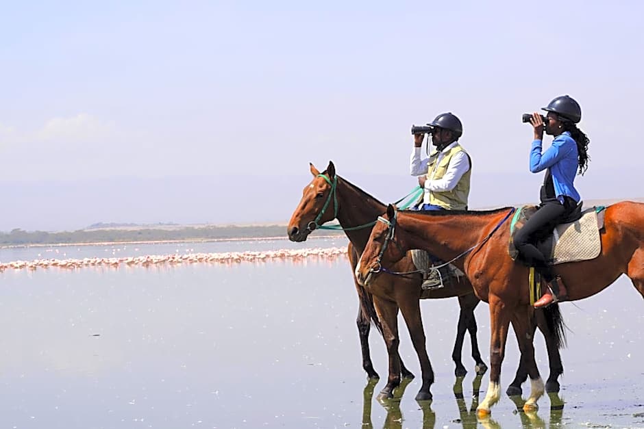 Lake Elmenteita Serena Camp