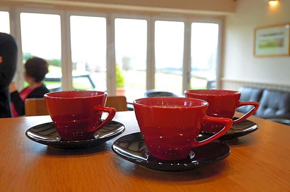 Neuadd Henllan Lodge