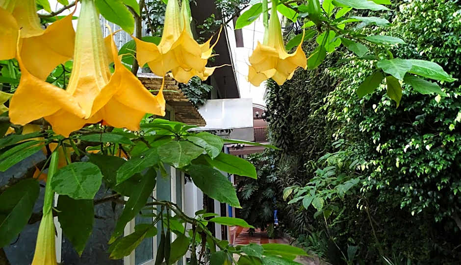 HOTEL JARDINES DEL CARMEN