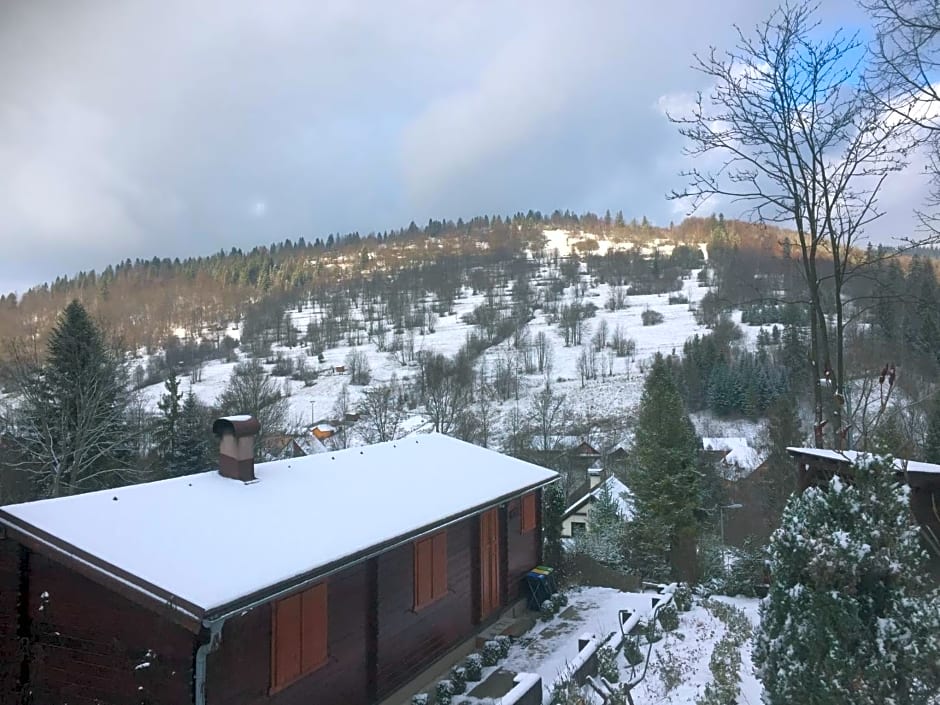 Drevenice Oščadnica