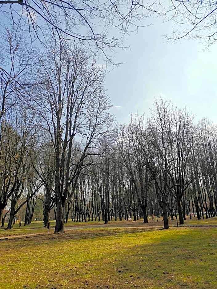 LT - Room's Bed & Living