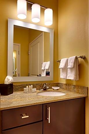 Studio, 1 King Bed with Sofa bed (1 King Bed and 1 Double Sofa Bed)