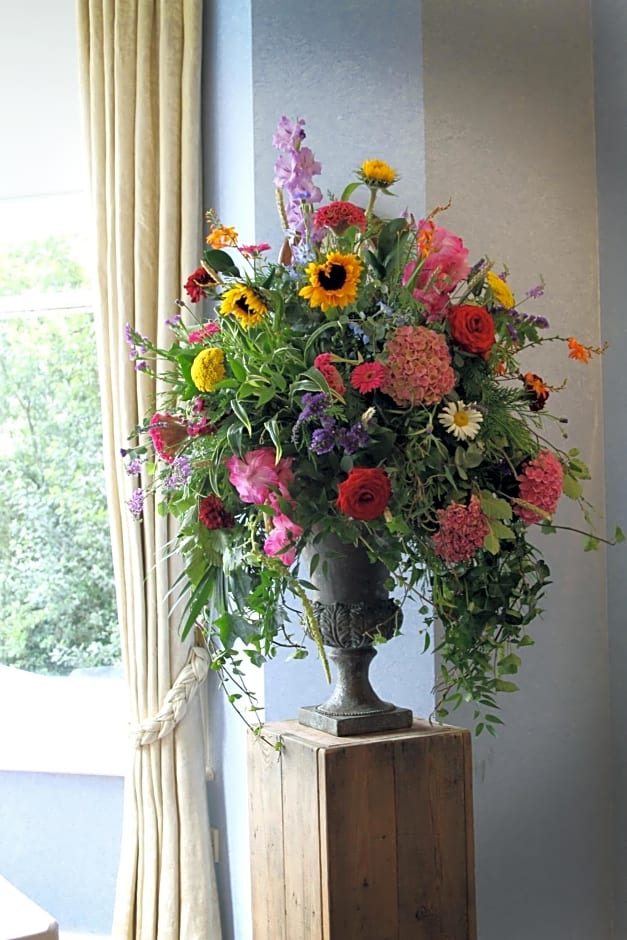 le vallon de bargemon