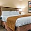 Quality Inn Indianapolis Northwest