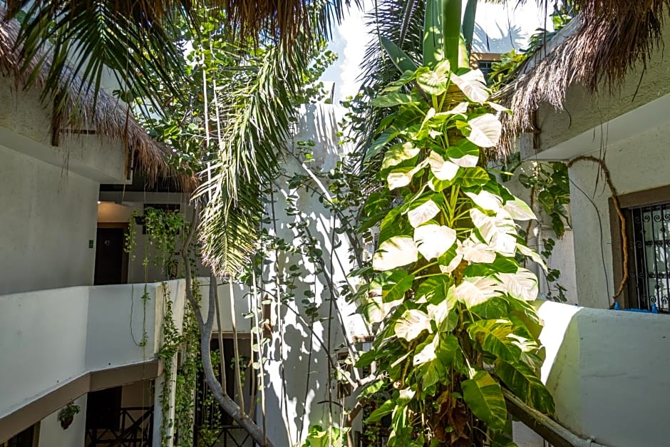 Posada Mariposa Boutique Hotel - 5th Avenue