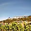 Banyan Tree Veya, Valle de Guadalupe