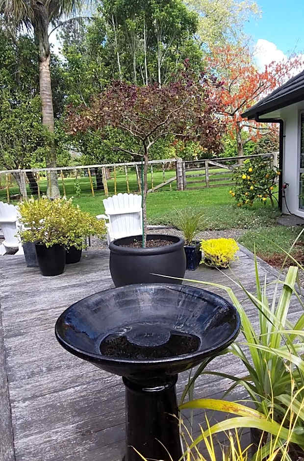 Karapiro Willows Luxury B & B