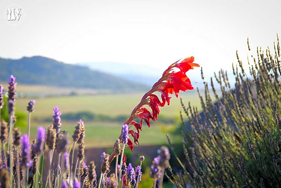 Outeniquabosch Lodge