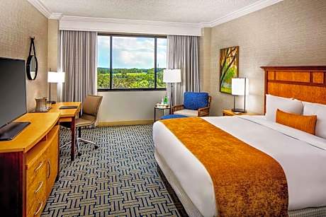 1 King Mobility Accessible W/ Bathtub