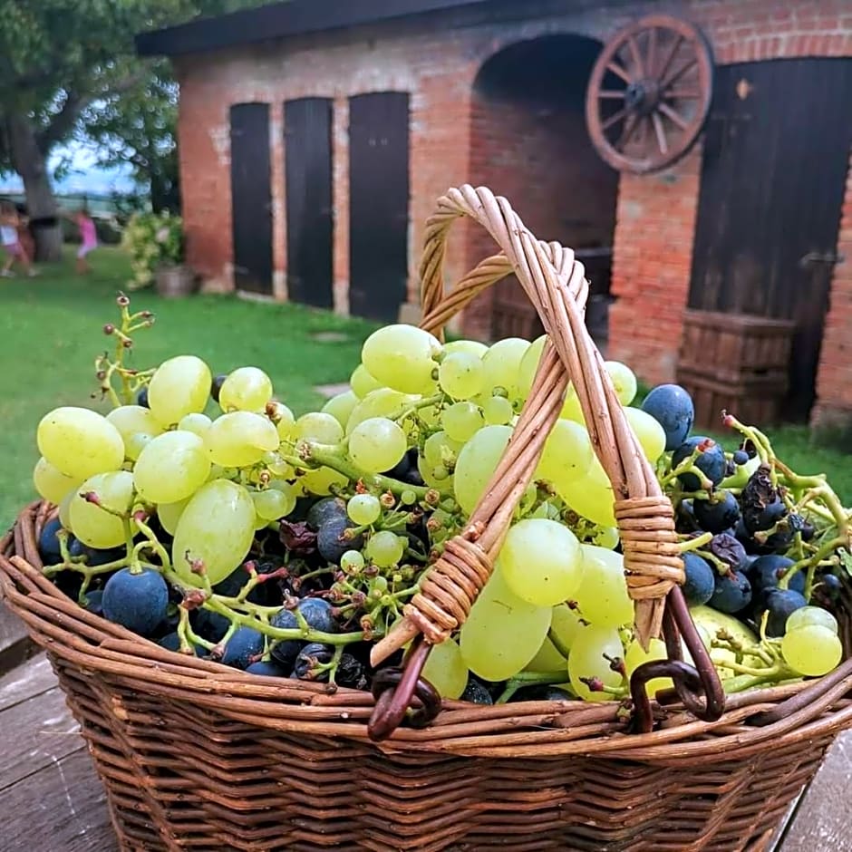 Cascina Valtignosa Camere Con Vigna