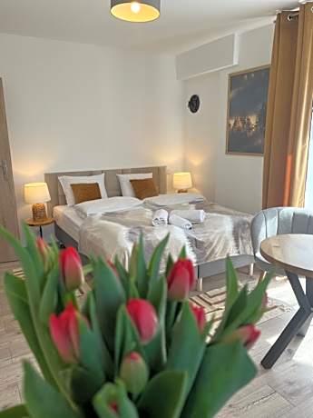 Double or Twin Room with Mountain View