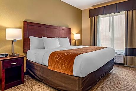 1 King Bed, Suite, Nonsmoking