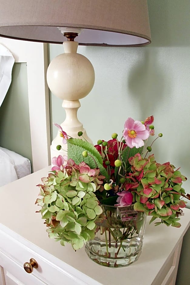 Ombre Rose