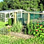 Rolling Hills Country Stay B&B