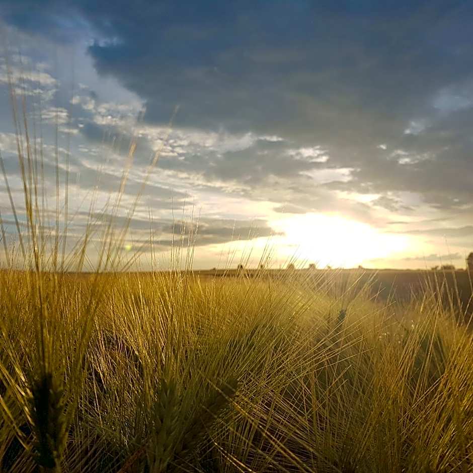 Fonsegre Chambres d'Hôtes