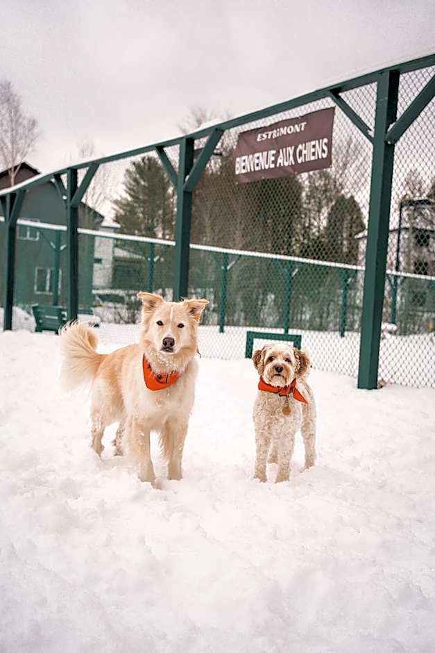 Estrimont Suites & Spa