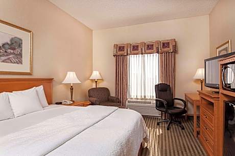 1 King Bed Nonsmoking Shower Only