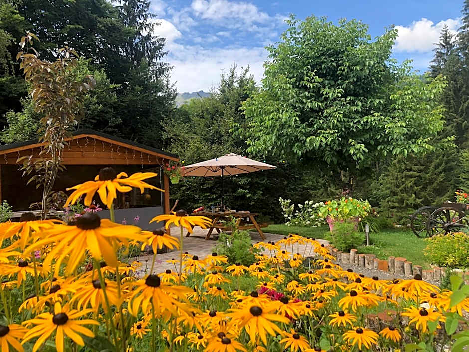 Le Moulin des Olirics