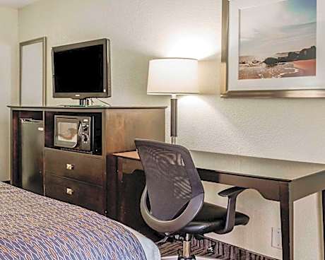 Room with Two Double Beds - Non-Smoking