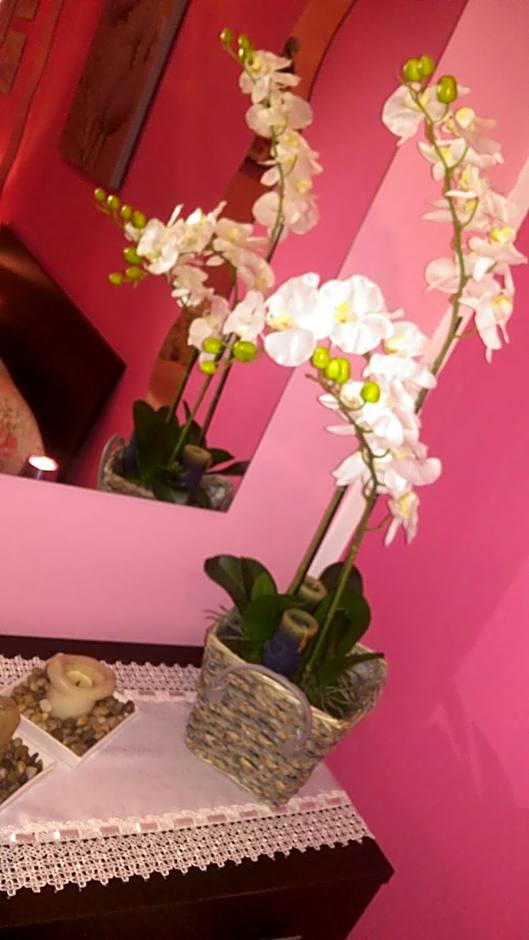 B&B San Vitale