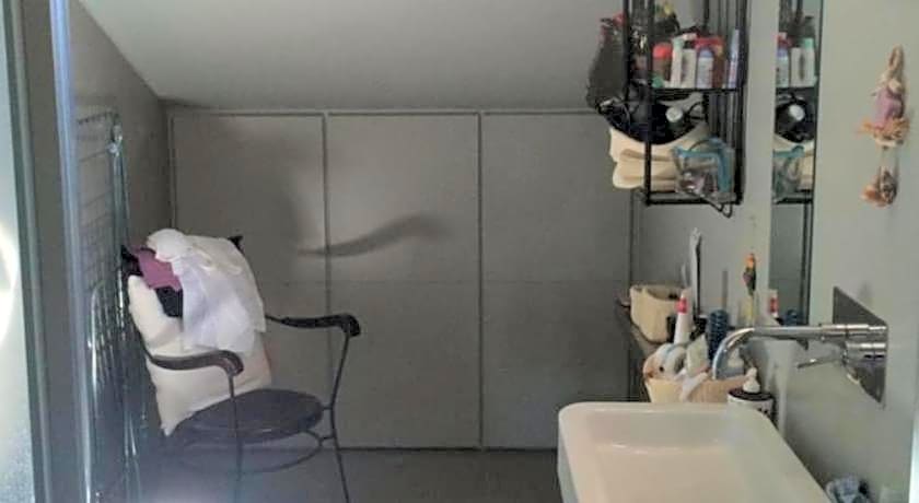 Rinidia Siena Celso Cittadini Grande