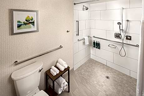 1 QN MOBILITY ACCESSIBLE WITH ROLL IN SHOWER