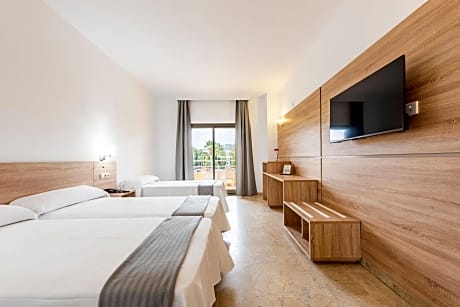 Triple Room with Terrace