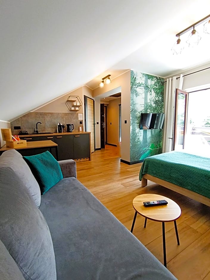 Apartament Olimpijska 54 z prywatnym jacuzzi na tarasie