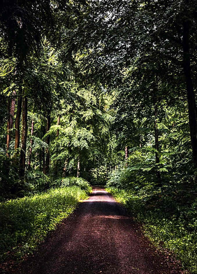 Hotel & Restaurant Ritter Jörg