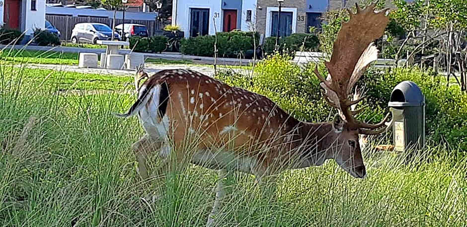 Hotel / Pension Villa Tanahlot