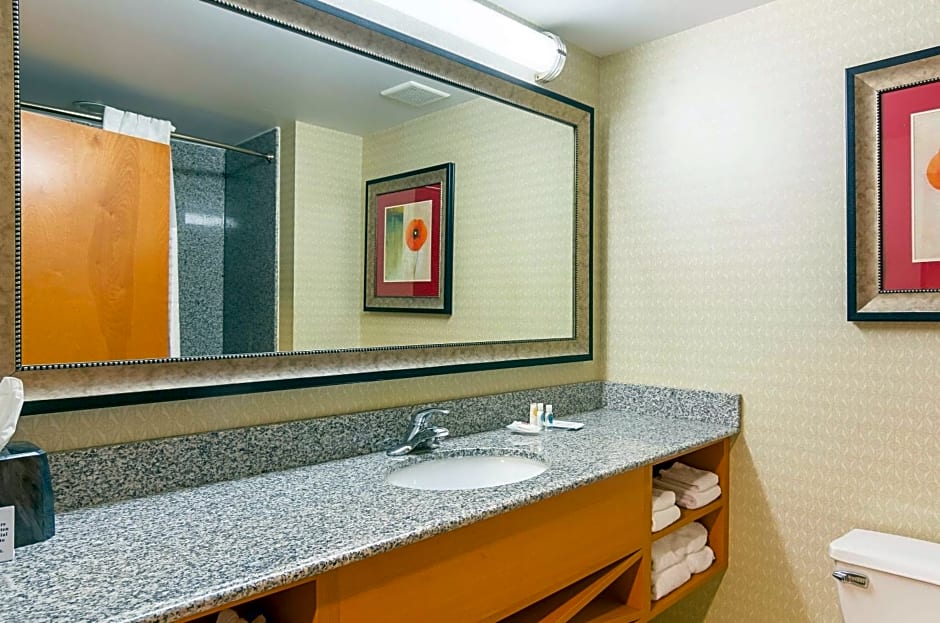 Comfort Suites at Virginia Center Commons