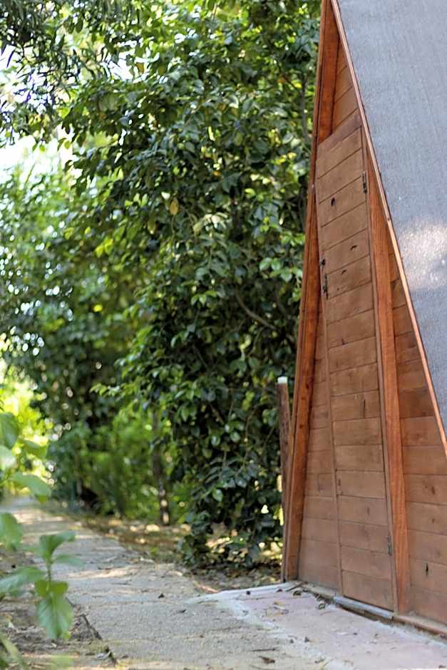 Riba Rio - Unique Nature Spot