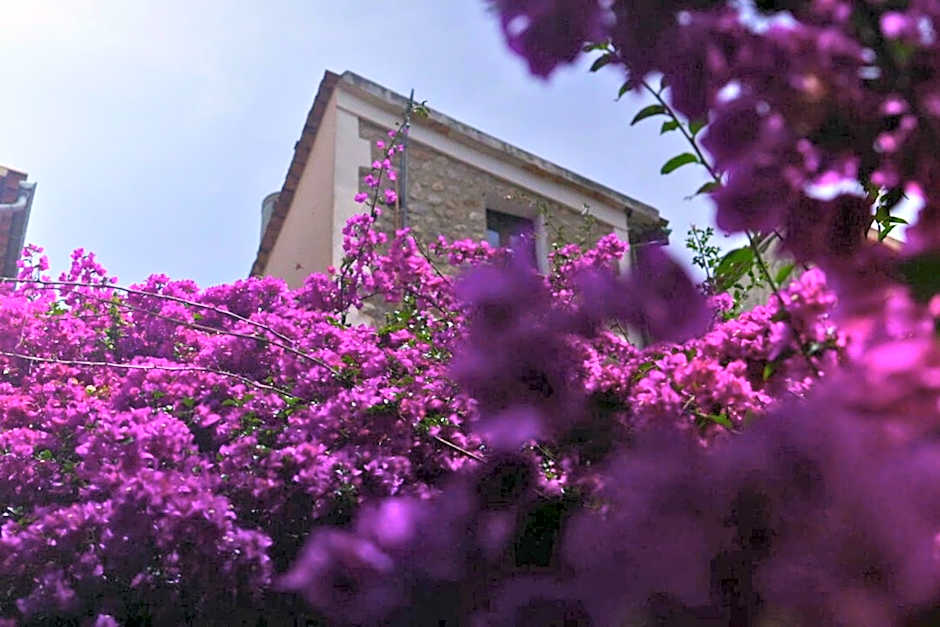 Casa Bougainvillea