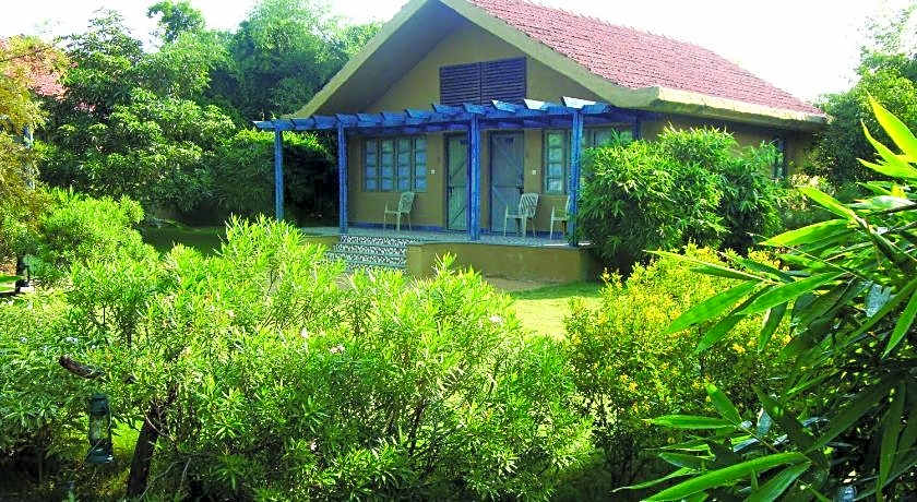 The Celebration Van Vilas