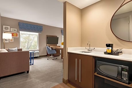 1 King Microwv/Fridge/Wet Bar Studio Suite Ns