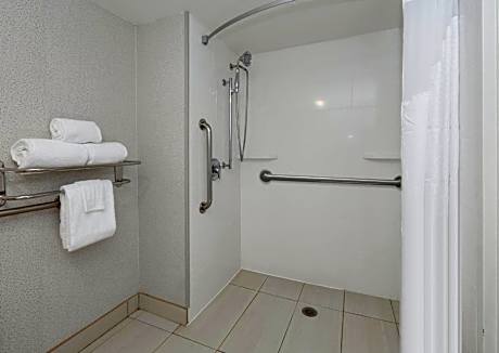 King Suite with Mobility Accessible Roll-In Shower
