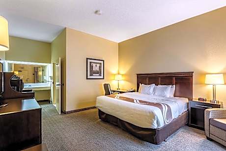 1 King Bed  No Smoking  Accessible Room