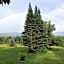 Robert Frost Mountain Cabins